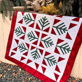 Christmas in Europe Book